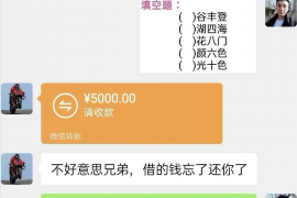 伊犁为什么选择专业追讨公司来处理您的债务纠纷？